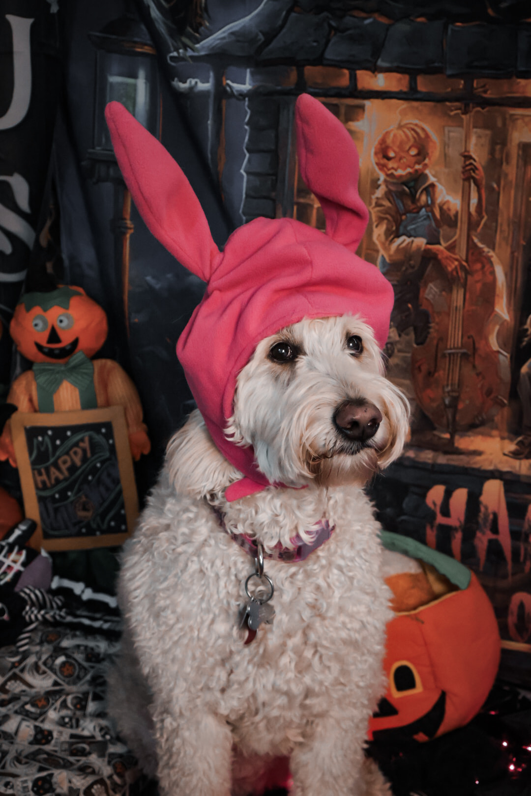 Halloween Dog Party 3